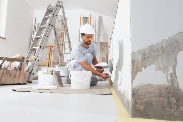 Best Comprehensive Air Testing for Mold Contaminants  in Doney Park, AZ