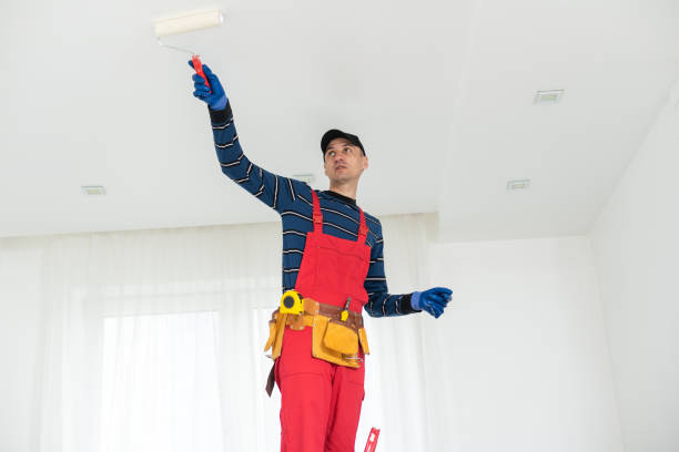 Best Biohazard Mold Removal  in Doney Park, AZ